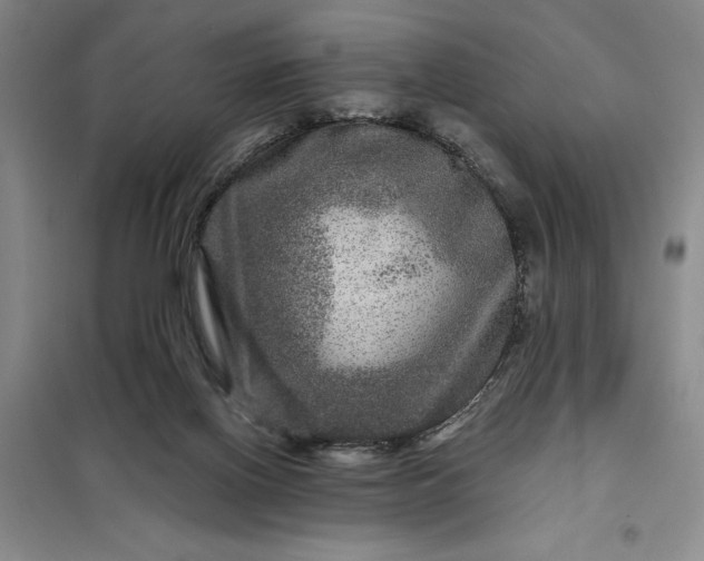 X0000098150070200805011417