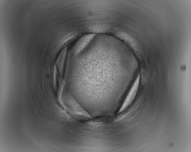 X0000098150071200805011417