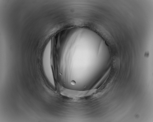 X0000098150072200805011417