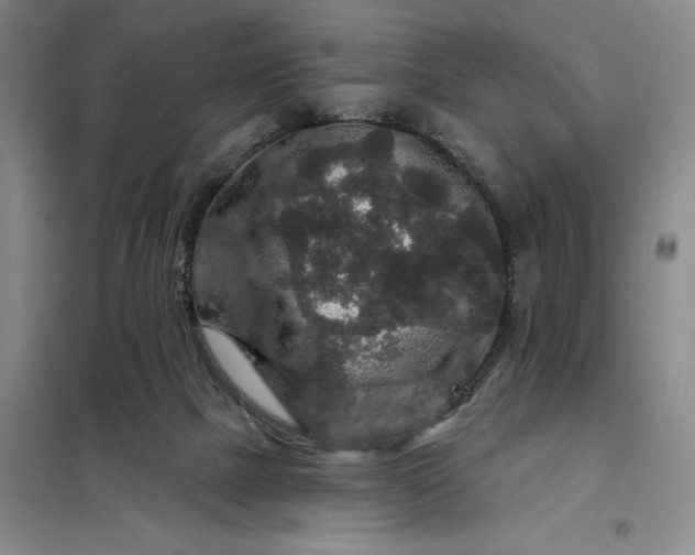 X0000098150073200805011417