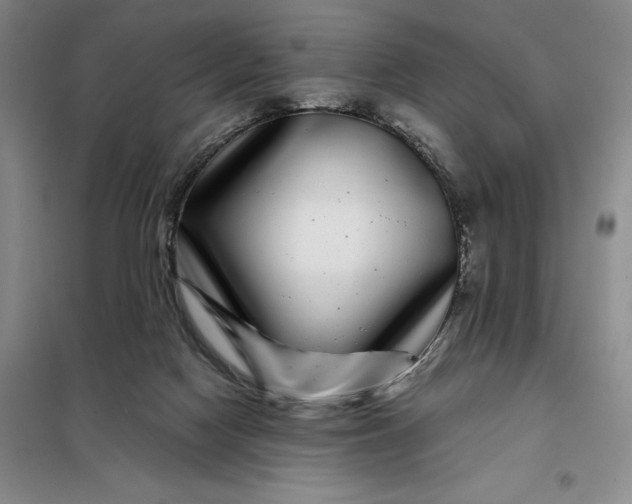 X0000098150074200805011417