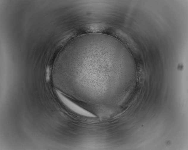 X0000098150075200805011417