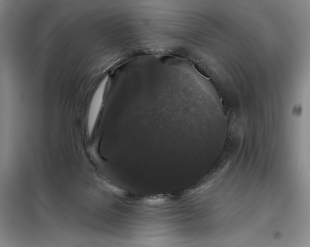 X0000098150076200805011417