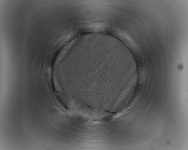 X0000098150077200805011417