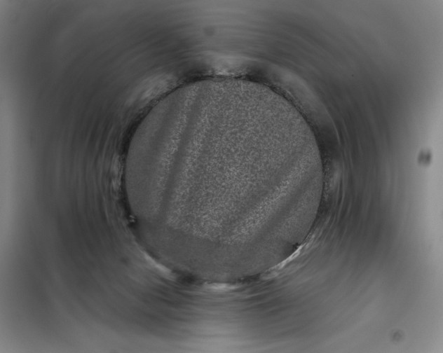 X0000098150078200805011417