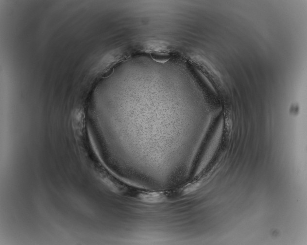 X0000098150079200805011417
