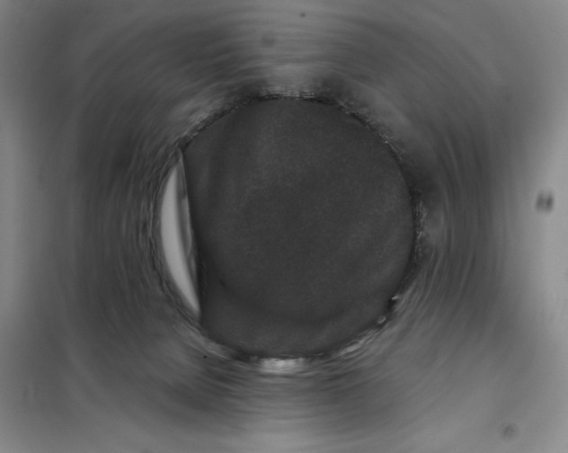 X0000098150080200805011417