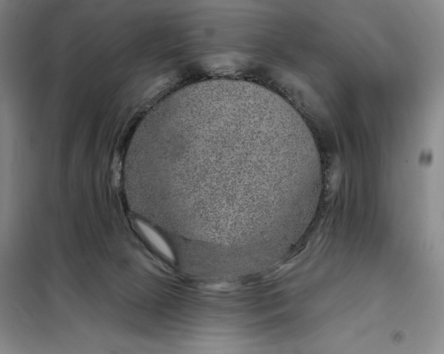 X0000098150081200805011417