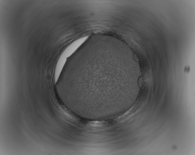 X0000098150082200805011417