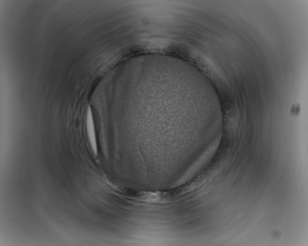 X0000098150083200805011417