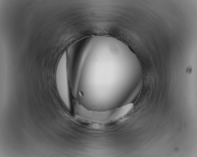 X0000098150084200805011417