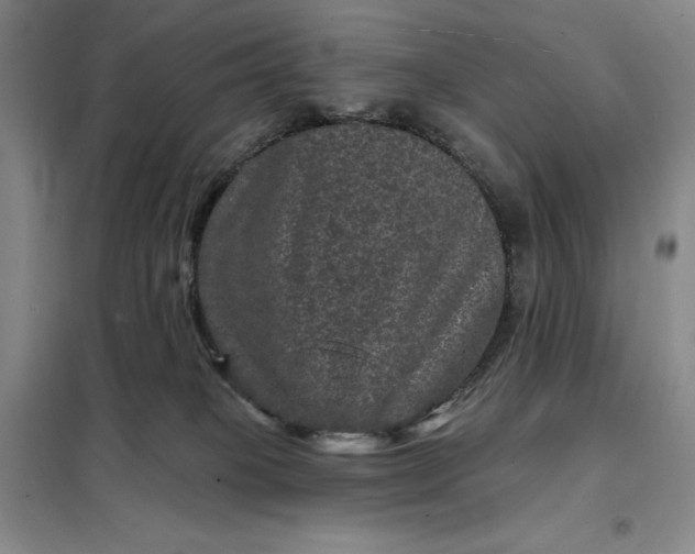 X0000098150085200805011417