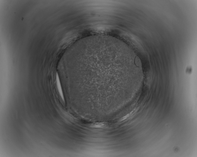 X0000098150086200805011417