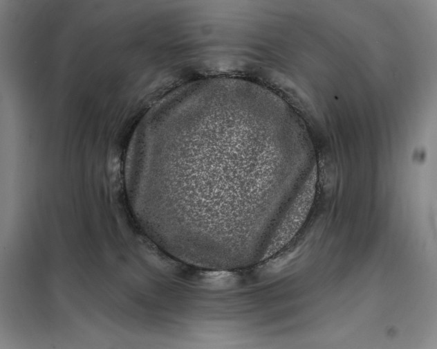 X0000098150087200805011417