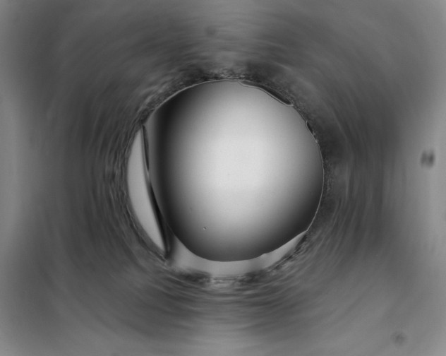 X0000098150088200805011417