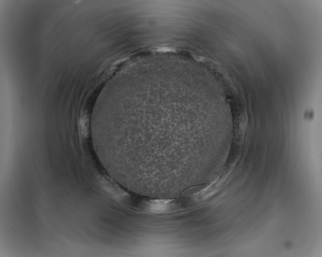 X0000098150090200805011417