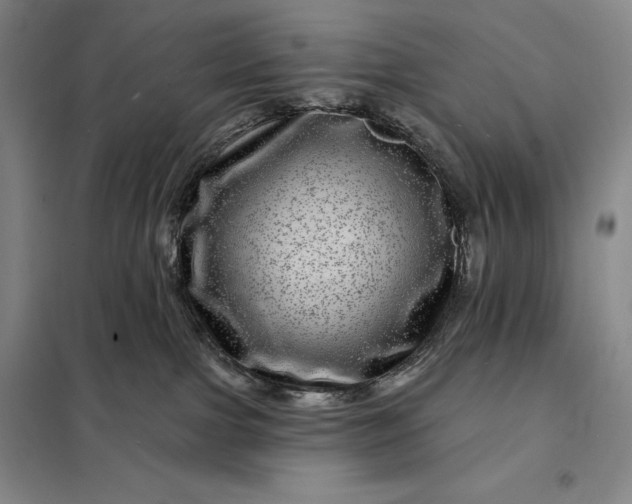 X0000098150091200805011417