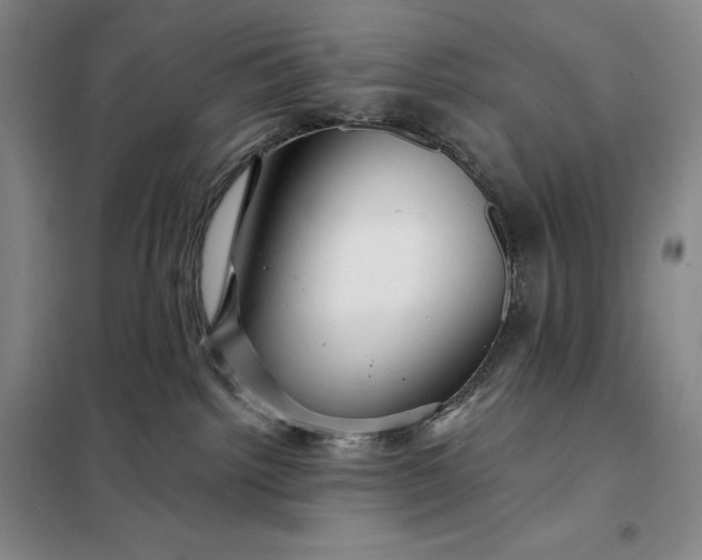 X0000098150092200805011417