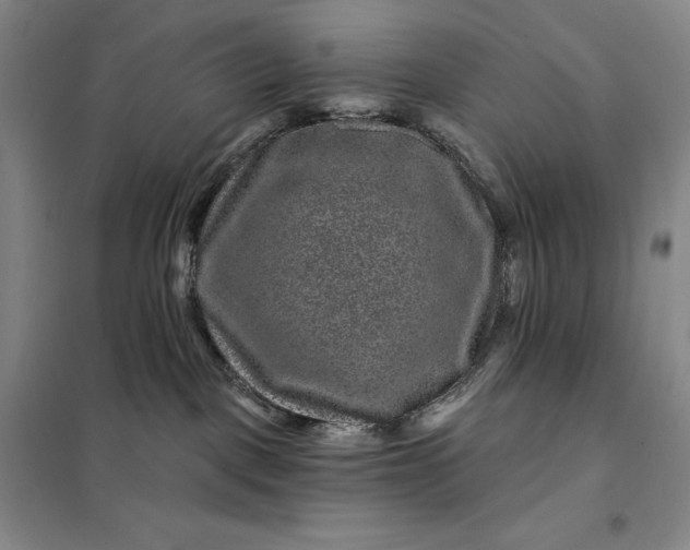 X0000098150093200805011417