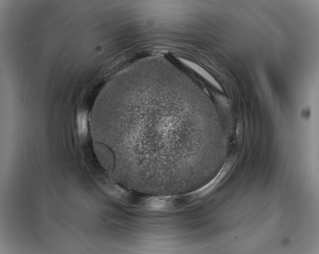 X0000098150094200805011417