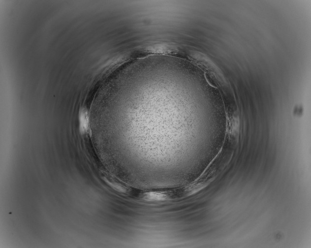 X0000098150095200805011417