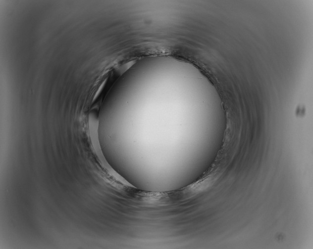 X0000098150096200805011417
