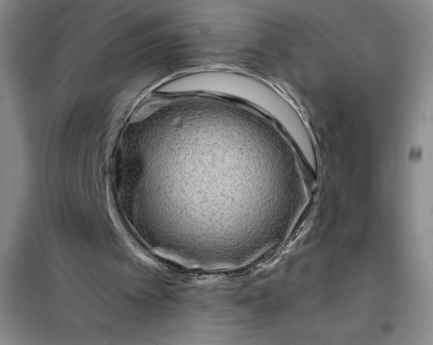 X0000098150097200805011417
