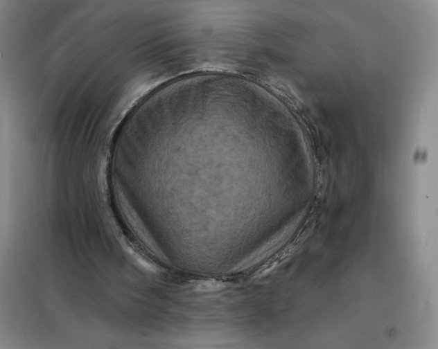 X0000098150098200805011417