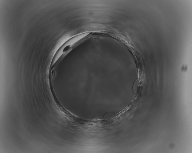X0000098150099200805011417