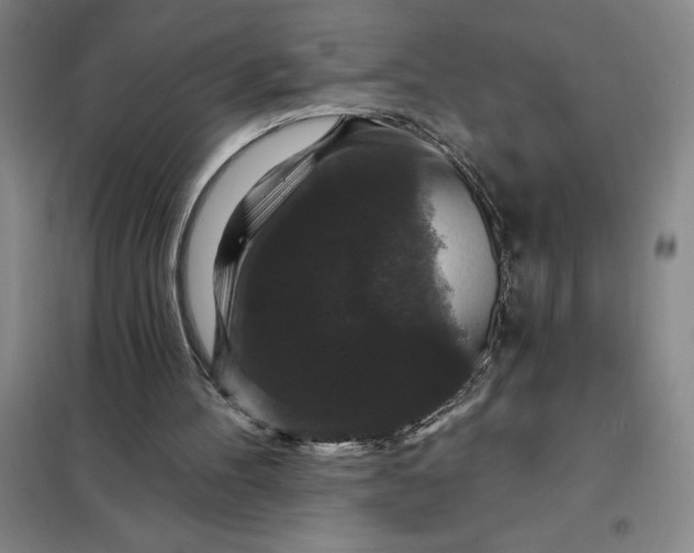 X0000098150100200805011417