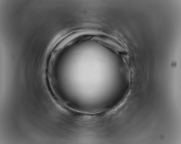 X0000098150101200805011417