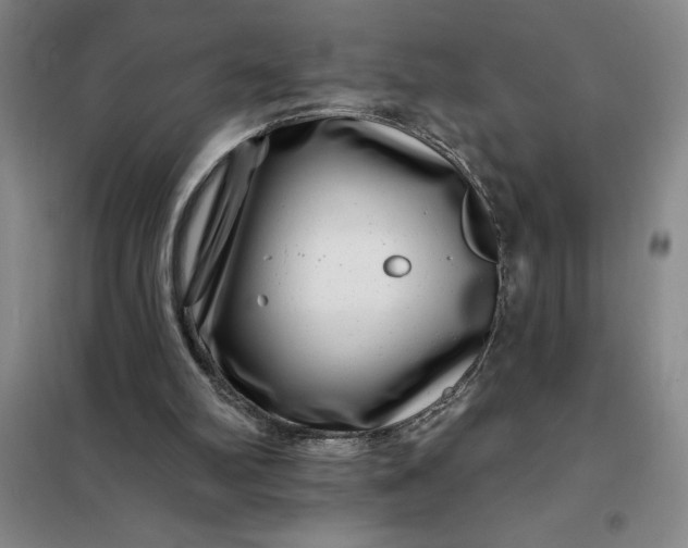 X0000098150102200805011417