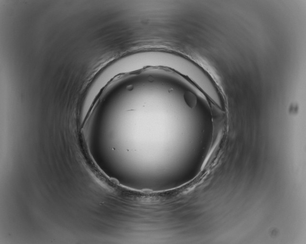 X0000098150105200805011417