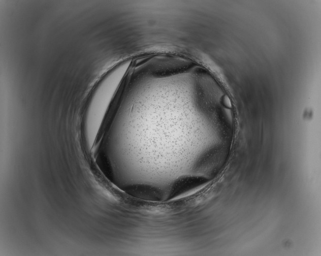 X0000098150106200805011417