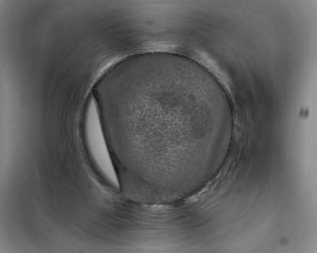 X0000098150107200805011417