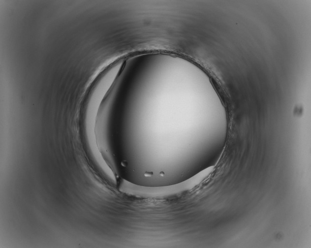 X0000098150108200805011417