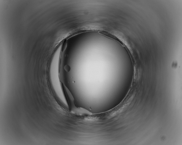 X0000098150109200805011417