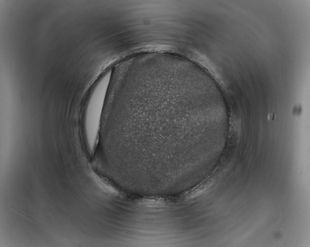 X0000098150110200805011417