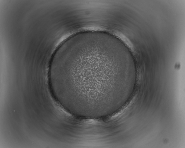 X0000098150111200805011417