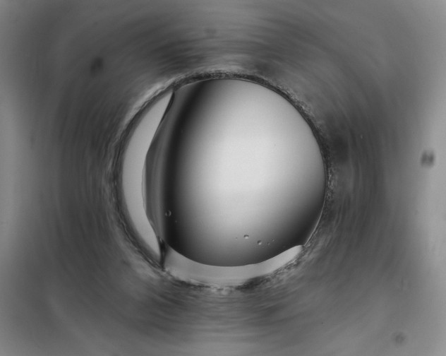 X0000098150112200805011417