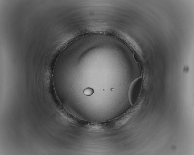 X0000098150113200805011417