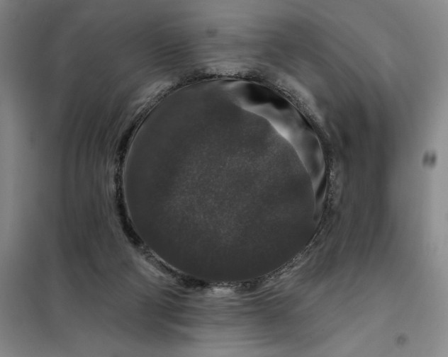 X0000098150114200805011417