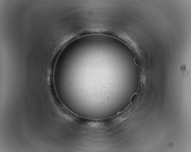 X0000098150115200805011417