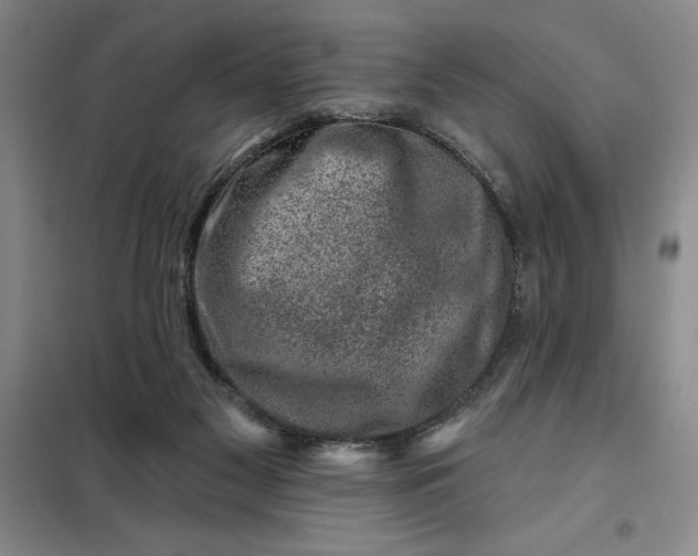 X0000098150117200805011417