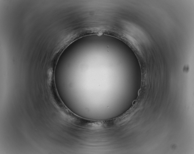 X0000098150118200805011416