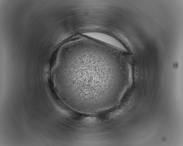 X0000098150119200805011416