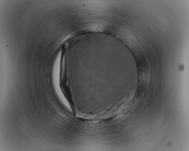 X0000098150120200805011416