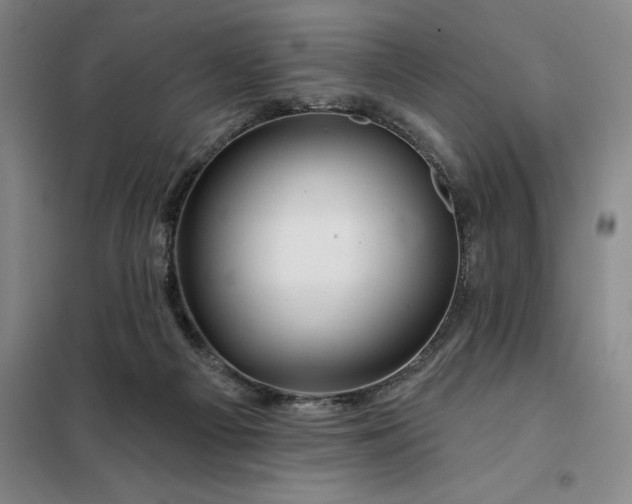 X0000098150121200805011416