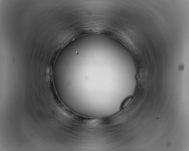 X0000098150122200805011416