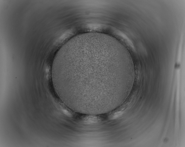 X0000098150123200805011416